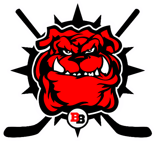 Brewster Bulldogs 2016 Secondary Logo iron on heat transfer...